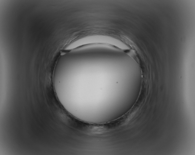 X0000086040401200704131939
