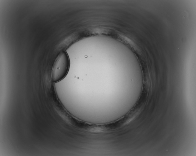X0000086040402200704131939
