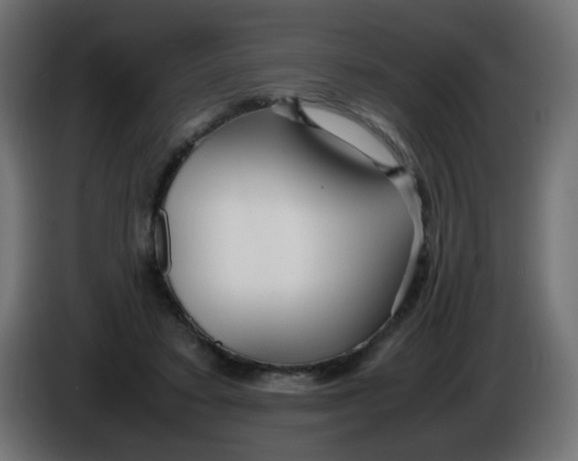 X0000086040403200704131939