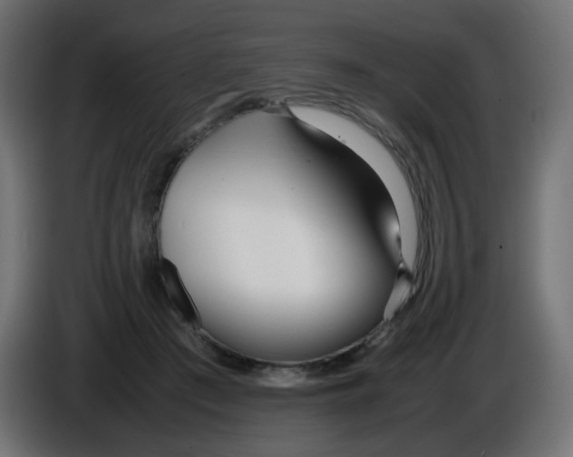 X0000086040409200704131939