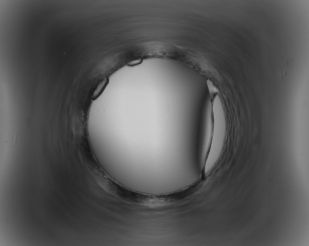 X0000086040413200704131939