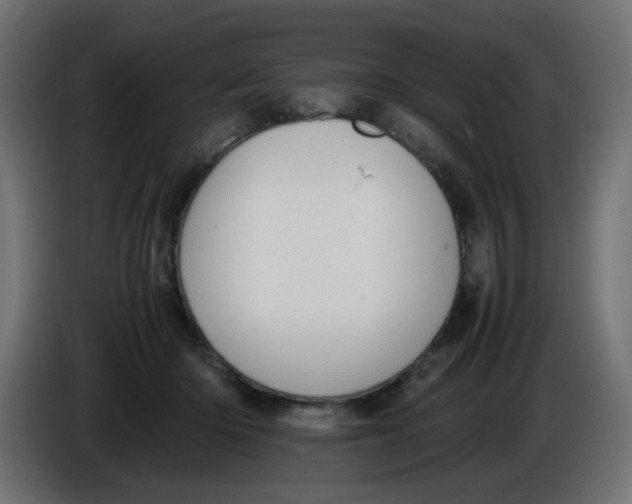 X0000086040414200704131939