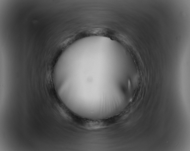 X0000086040415200704131939