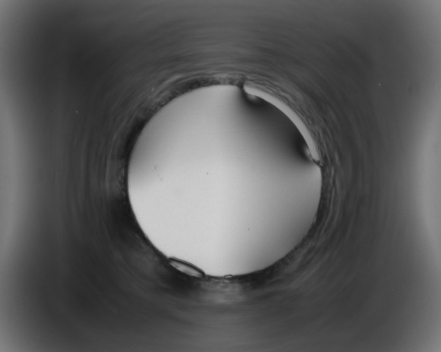 X0000086040421200704131939