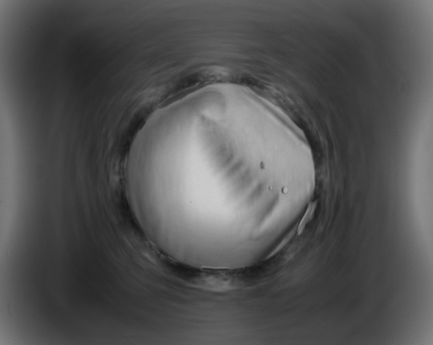 X0000086040423200704131939