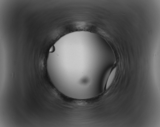 X0000086040424200704131939