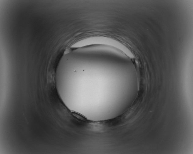 X0000086040425200704131939