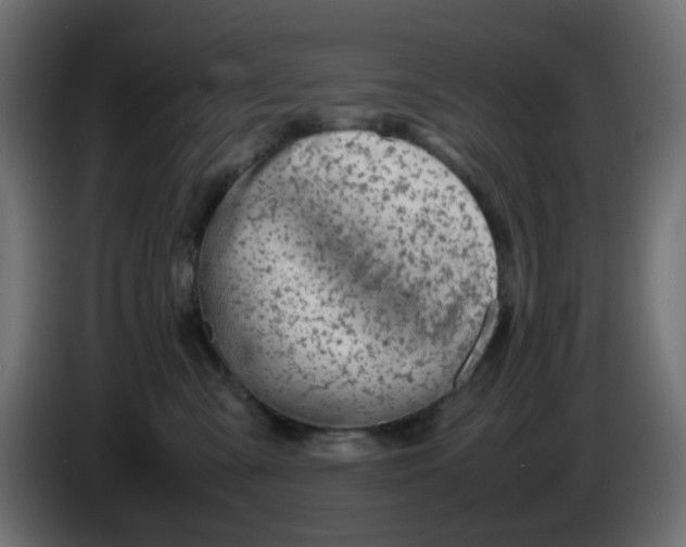 X0000086040427200704131939