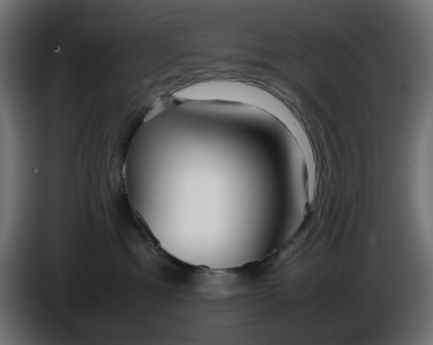 X0000086040429200704131939