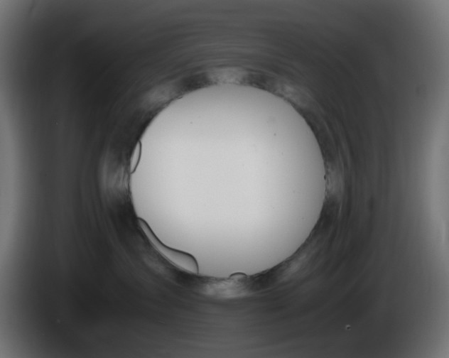 X0000086040431200704131939