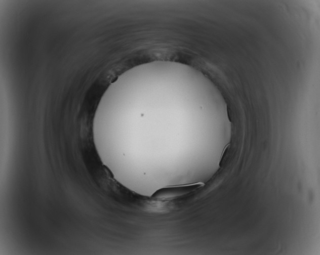 X0000086040432200704131939
