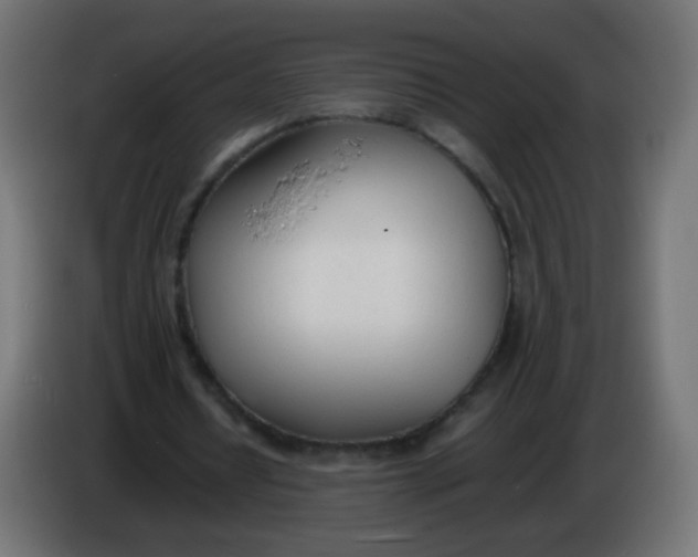 X0000086040434200704131938