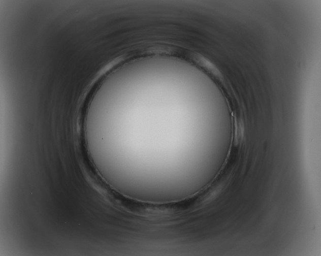 X0000086040435200704131938