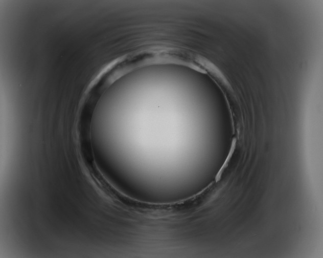X0000086040436200704131938