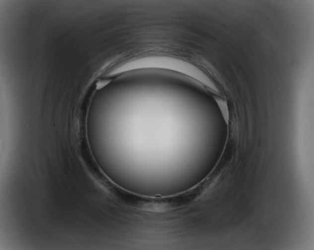 X0000086040444200704131938