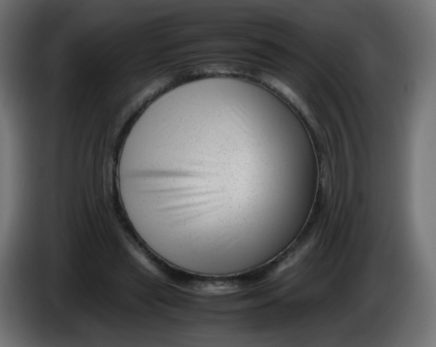 X0000086040445200704131938