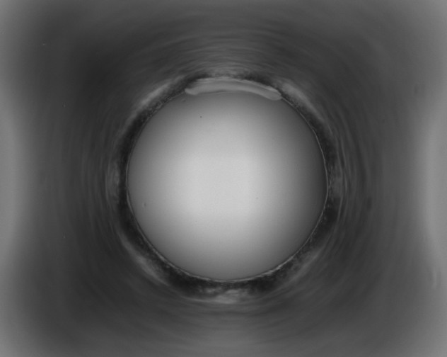 X0000086040448200704131938