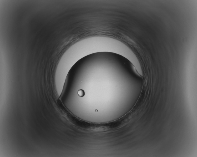 X0000086040452200704131938