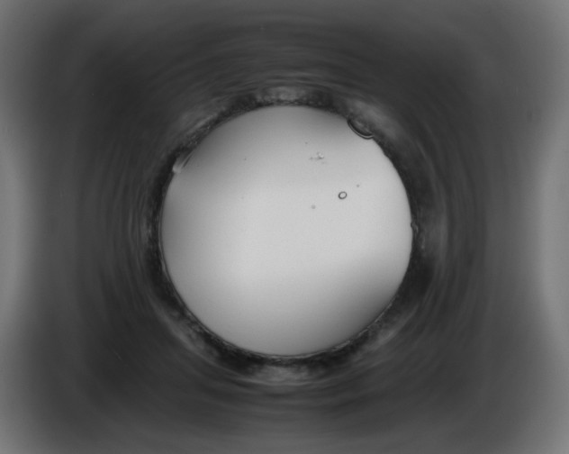 X0000086040455200704131938