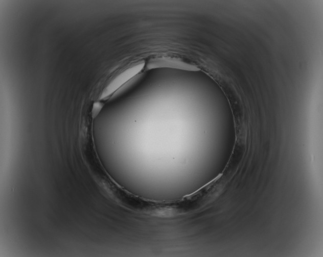 X0000086040456200704131938