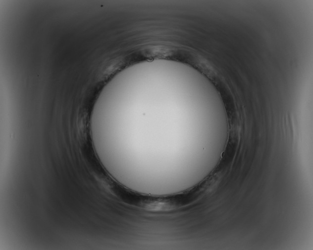 X0000086040460200704131938