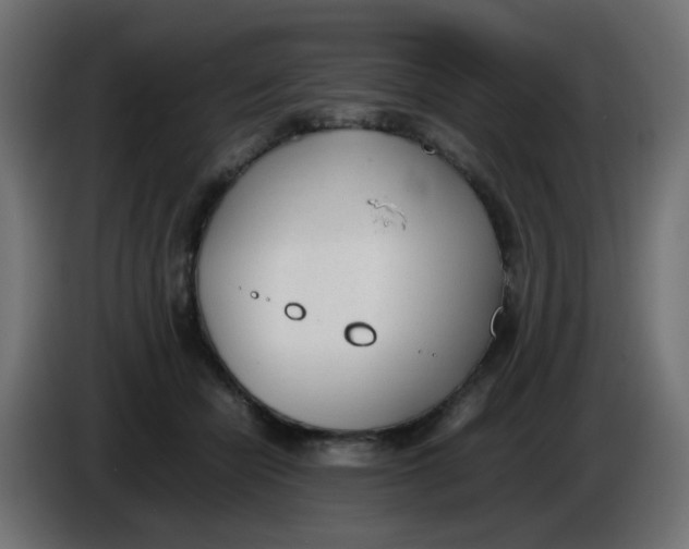 X0000086040462200704131938