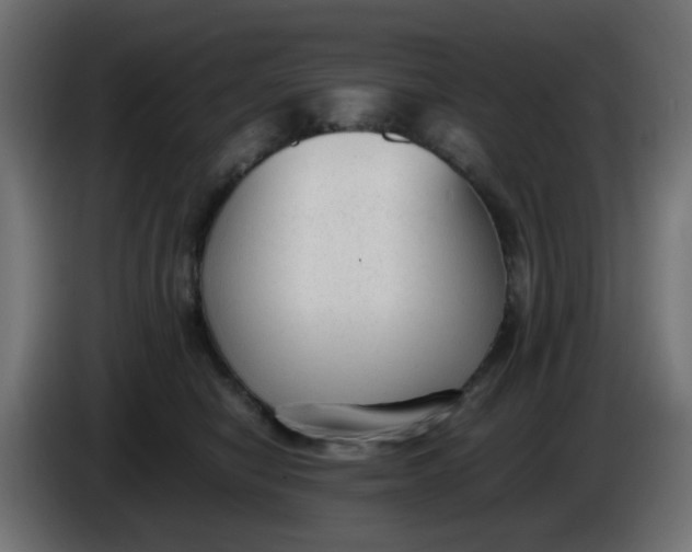 X0000086040470200704131938