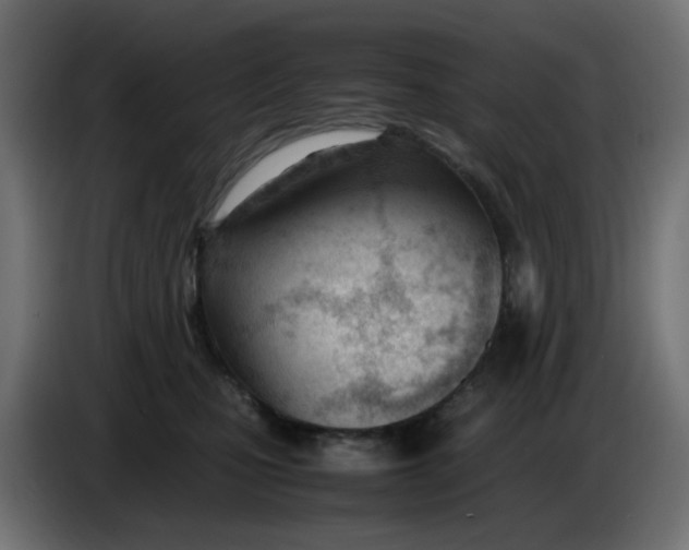 X0000086040471200704131938