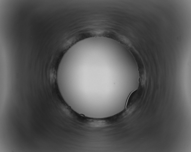 X0000086040476200704131938