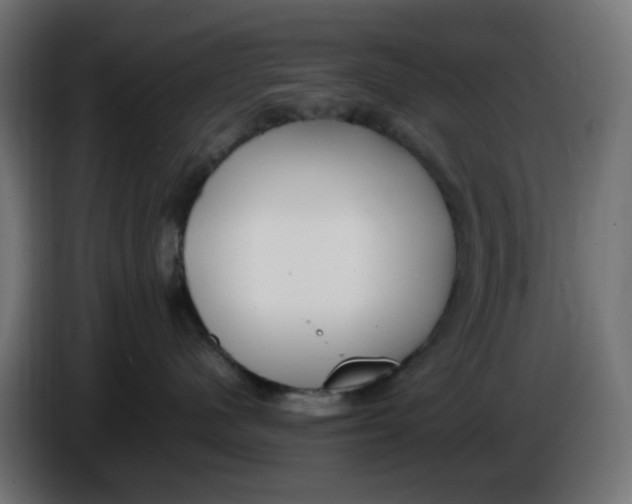 X0000086040480200704131938