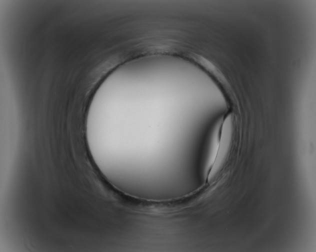 X0000086040481200704131938