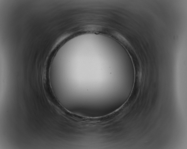 X0000086040484200704131938