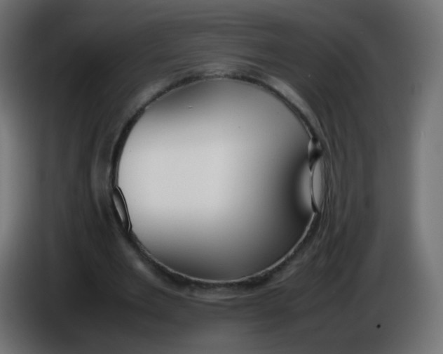 X0000086040485200704131938