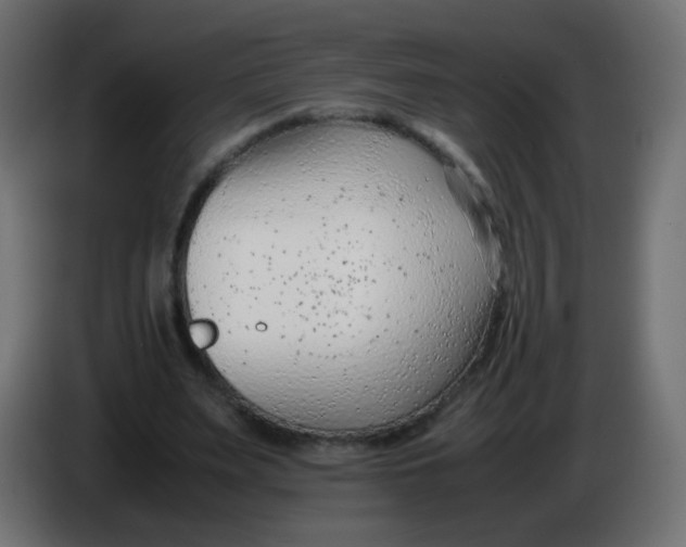 X0000086040487200704131938