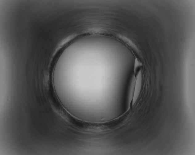 X0000086040488200704131938