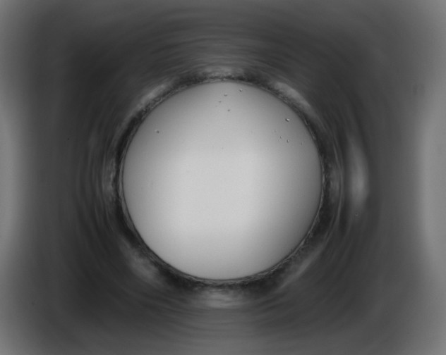 X0000086040490200704131938
