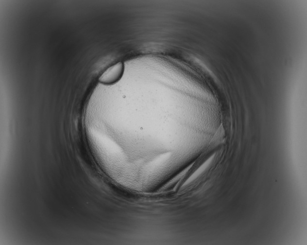X0000086040491200704131938