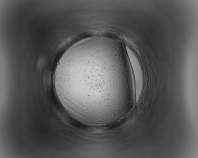 X0000086040495200704131938