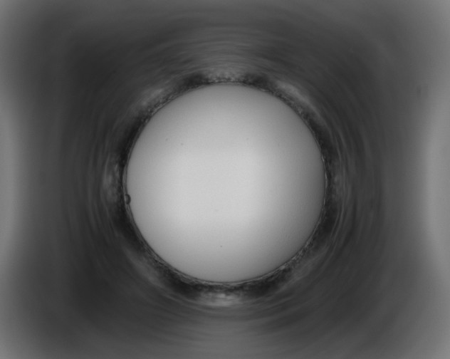 X0000086040498200704131938