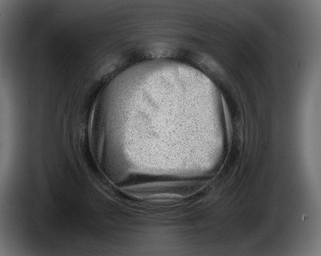 X0000086040499200704131938