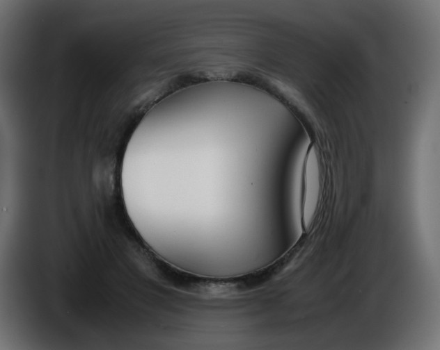 X0000086040501200704131938