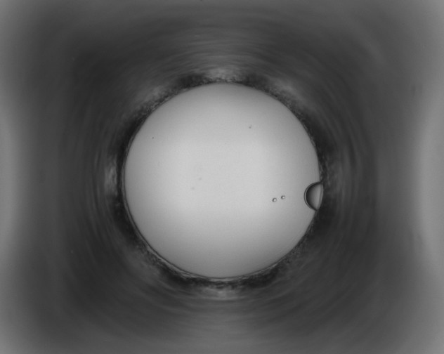 X0000086040502200704131938