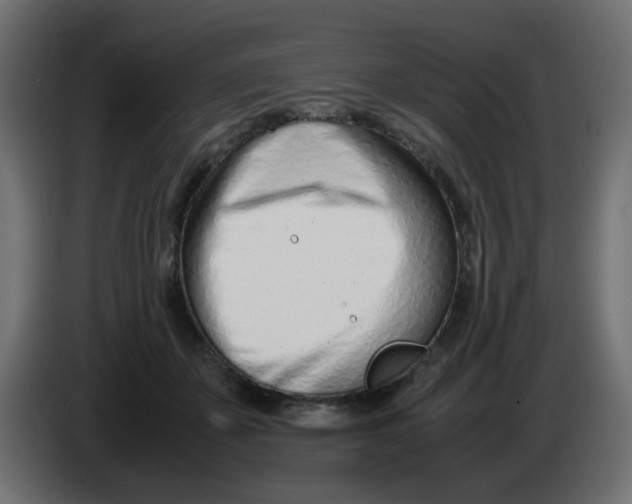 X0000086040507200704131937