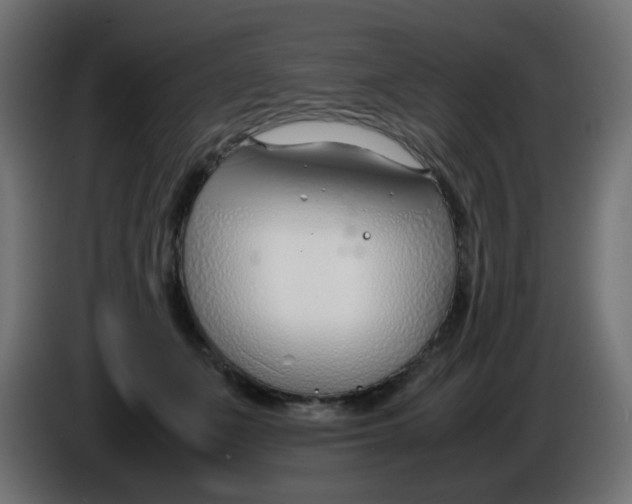 X0000086040511200704131937