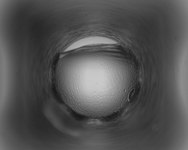 X0000086040519200704131937