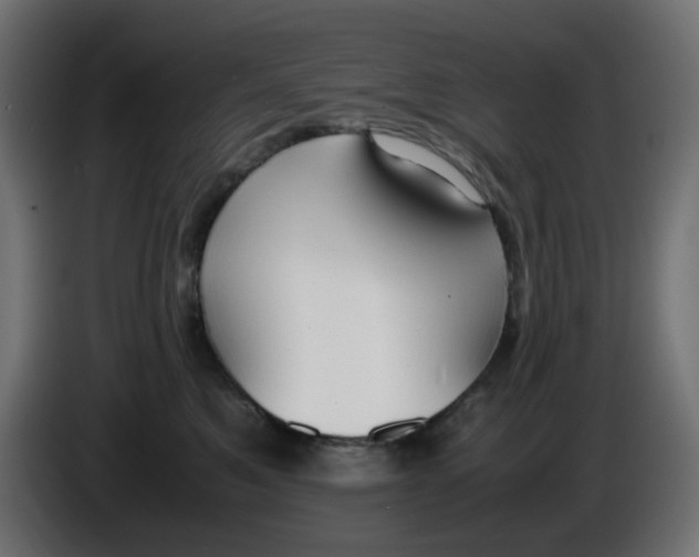 X0000086040521200704131937
