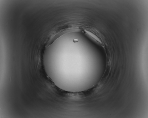 X0000086040524200704131937