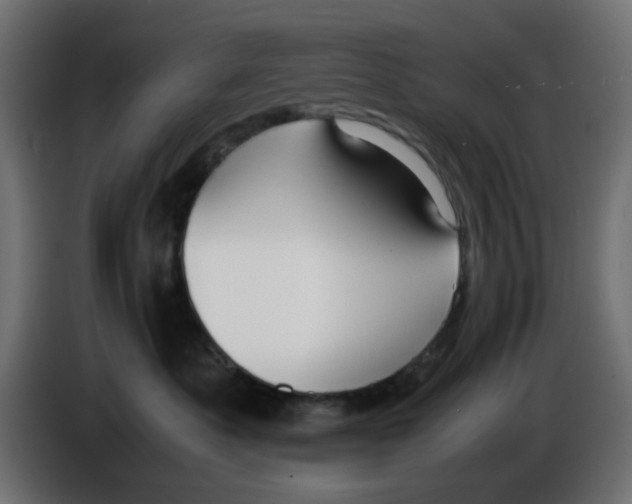 X0000086040525200704131937