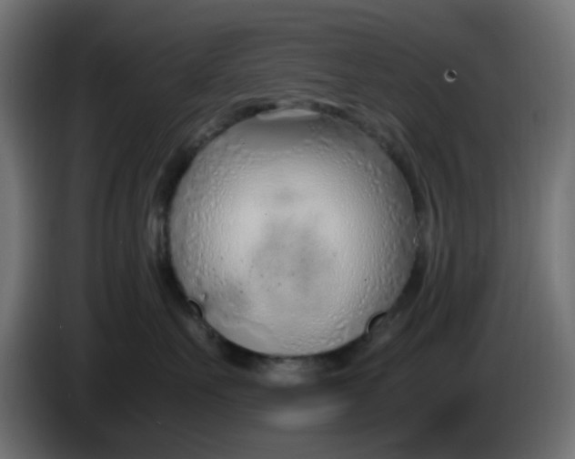 X0000086040527200704131937