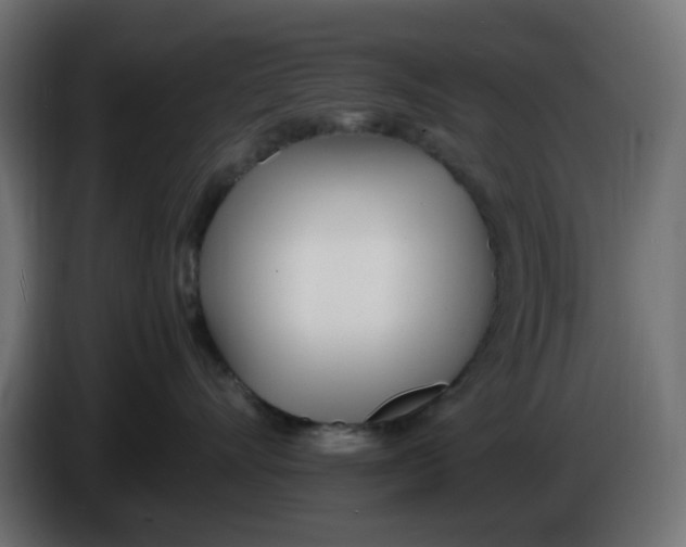 X0000086040528200704131937